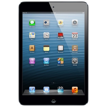 Apple iPad mini 64Gb Wi-Fi черный - Владимир