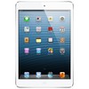 Apple iPad mini 16Gb Wi-Fi + Cellular белый - Владимир